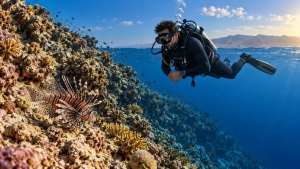 Plongée en mer Rouge : quels dangers pour les plongeurs ?